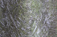 Turkey Island fibreglass roof work